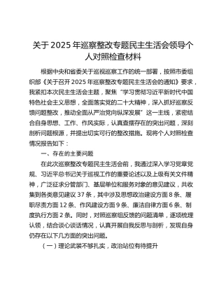 关于2025年巡察整改专题民主生活会领导个人对照检查材料