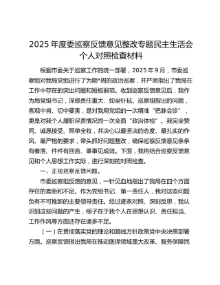 2025年度委巡察反馈意见整改专题民主生活会个人对照检查材料