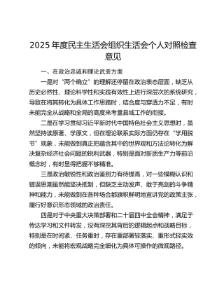 2025年度民主生活会组织生活会个人对照检查意见