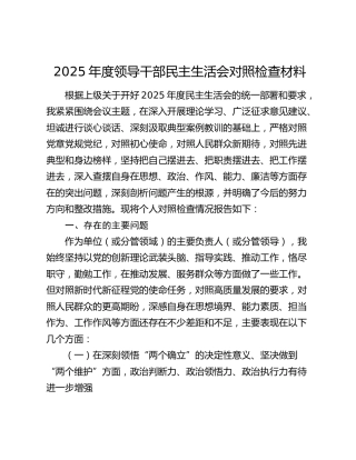2025年度领导干部民主生活会对照检查材料