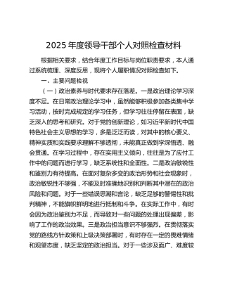 2025年度领导干部个人对照检查材料