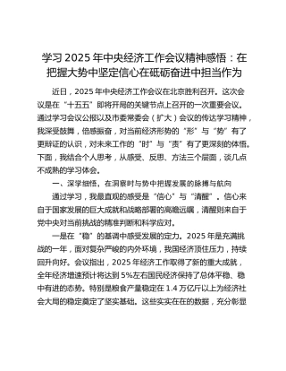 学习2025年中央经济工作会议精神感悟：在把握大势中坚定信心在砥砺奋进中担当作为