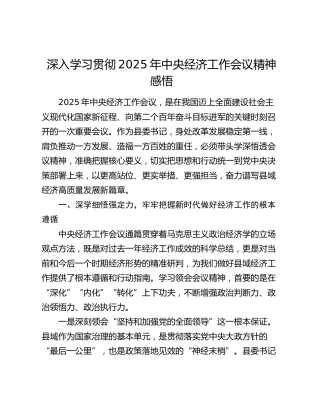 深入学习贯彻2025年中央经济工作会议精神感悟