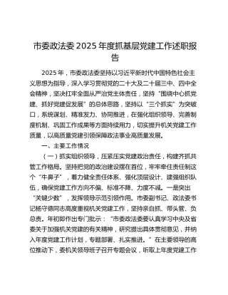 市委政法委2025年度抓基层党建工作述职报告