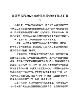 某县委书记2025年度抓基层党建工作述职报告
