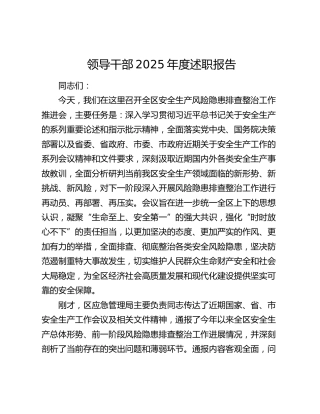 领导干部2025年度述职报告