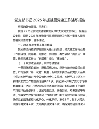 党支部书记2025年抓基层党建工作述职报告