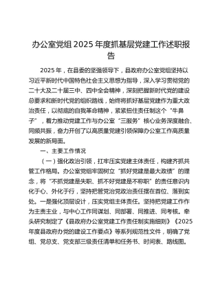 办公室党组2025年度抓基层党建工作述职报告