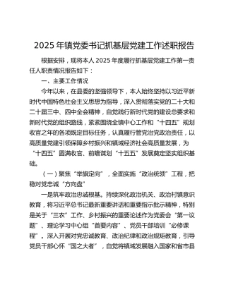2025年镇党委书记抓基层党建工作述职报告