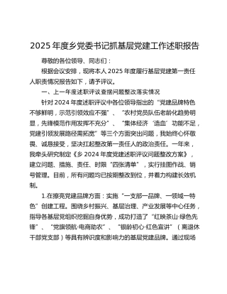 2025年度乡党委书记抓基层党建工作述职报告