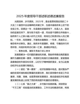 2025年度领导干部述职述德述廉报告