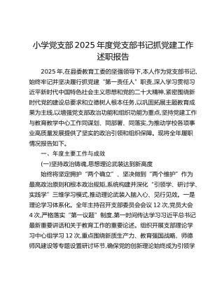 小学党支部2025年度党支部书记抓党建工作述职报告