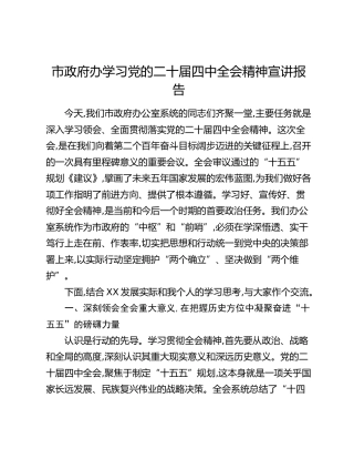 市政府办学习党的二十届四中全会精神宣讲报告