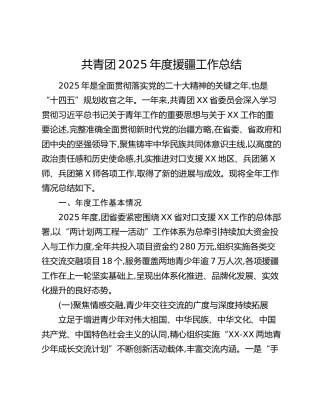 共青团2025年度援疆工作总结