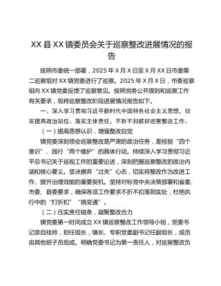 XX县XX镇委员会关于巡察整改进展情况的报告