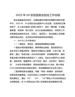 2025年XX区促进就业创业工作总结