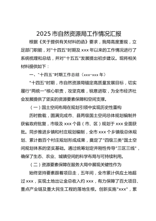 2025市自然资源局工作情况汇报