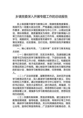 乡镇党委深入开展专题工作的总结报告