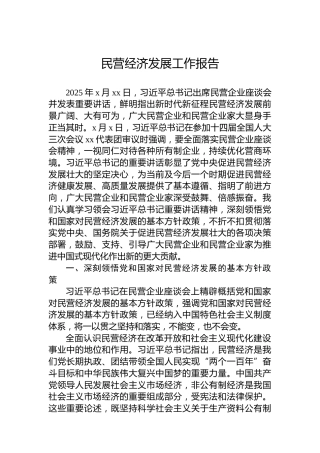 民营经济发展工作报告