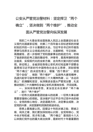 公安从严管党治警材料：坚定捍卫“两个确立”，坚决做到“两个维护”，推动全面从严管党治警向纵深发展