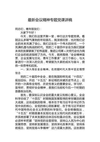 二十届四中全会专题党课讲稿