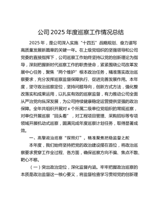 公司2025年度巡察工作情况总结