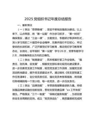 2025党组织书记年度总结报告