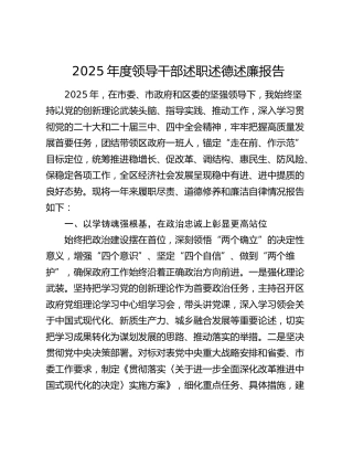 2025年度领导干部述职述德述廉报告（2）