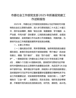 市委社会工作部党支部2025年抓基层党建工作述职报告