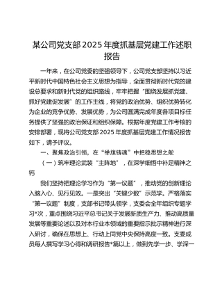 某公司党支部2025年度抓基层党建工作述职报告