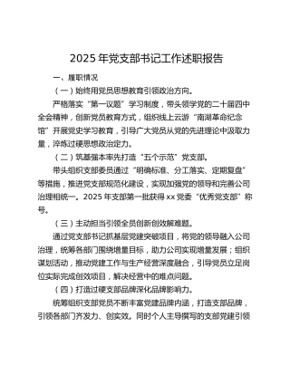 2025年党支部书记工作述职报告