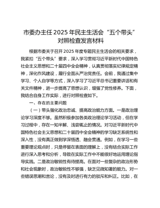 市委办主任2025年民主生活会“五个带头”对照检查发言材料