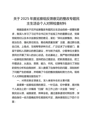 关于2025年度巡察组反馈意见的整改专题民主生活会个人对照检查材料