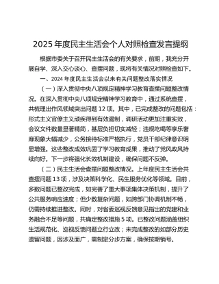 2025年度民主生活会个人对照检查发言提纲