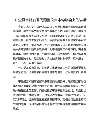在全县审计发现问题整改集中约谈会上的讲话