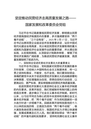 坚定推动民营经济走高质量发展之路——国家发展和改革委员会党组