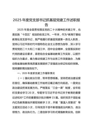 教育厅2025年度党支部书记抓基层党建工作述职报告