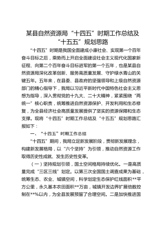 县自然资源局“十四五”时期工作总结及“十五五”规划思路