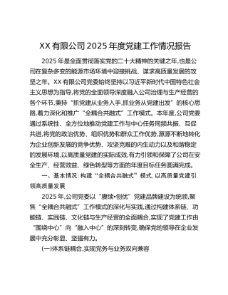 XX有限公司2025年度党建工作情况报告