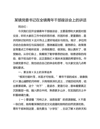 某镇党委书记在全镇青年干部座谈会上的讲话（2）
