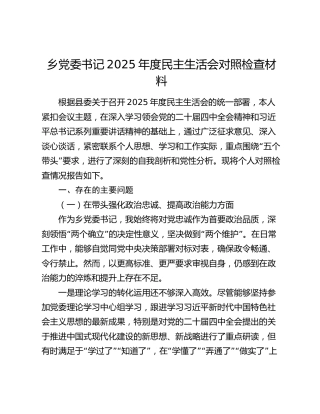 乡党委书记2025年度民主生活会对照检查材料（五个带头）