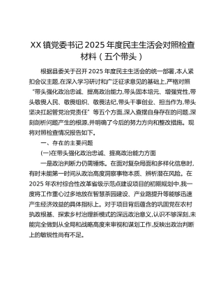 XX镇党委书记2025年度民主生活会对照检查材料（五个带头）