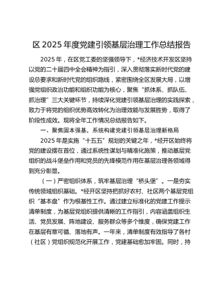 区2025年度党建引领基层治理工作总结报告
