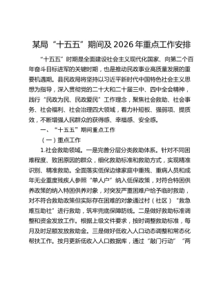 某局“十五五”期间及2026年重点工作安排