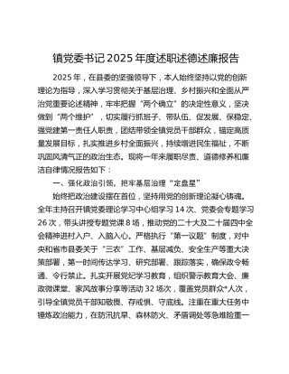 镇党委书记2025年度述职述德述廉报告