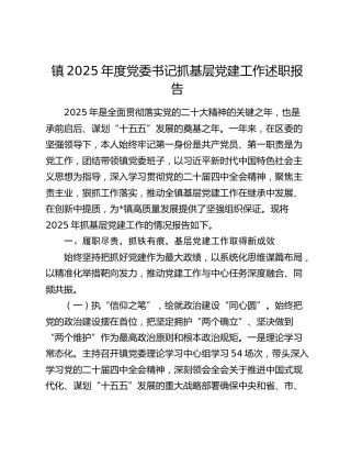 镇2025年度党委书记抓基层党建工作述职报告