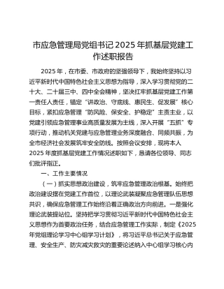 市应急管理局党组书记2025年抓基层党建工作述职报告