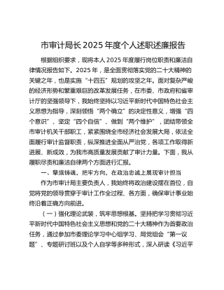 市审计局长2025年度个人述职述廉报告