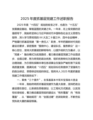 2025年度抓基层党建工作述职报告（2）