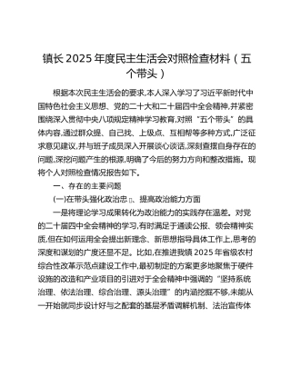 镇长2025年度民主生活会对照检查材料（五个带头）